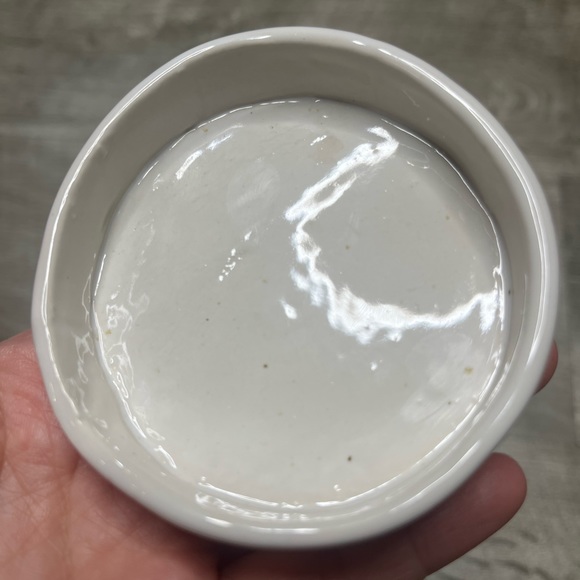 Handmade Circular Ceramic Reptile Dish - Picture 4 of 6